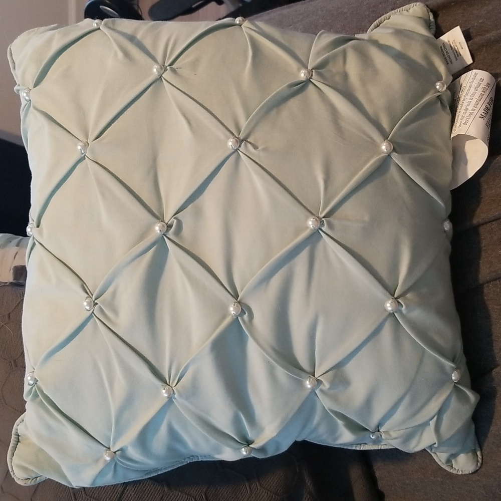 Pale Green Pleated/Pintuck Pearled Accent Pillow